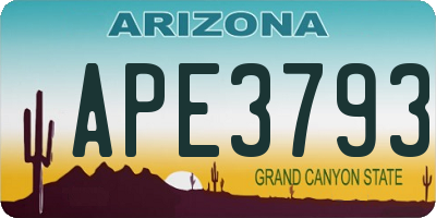 AZ license plate APE3793