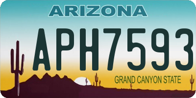 AZ license plate APH7593