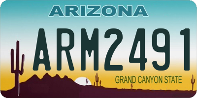AZ license plate ARM2491