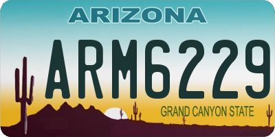 AZ license plate ARM6229