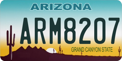AZ license plate ARM8207