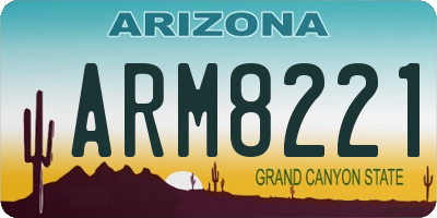 AZ license plate ARM8221