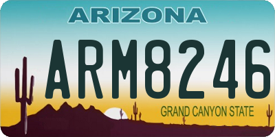 AZ license plate ARM8246