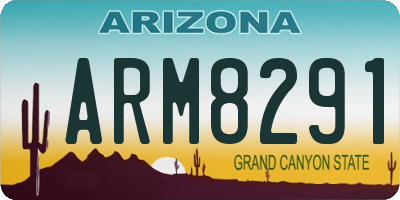 AZ license plate ARM8291