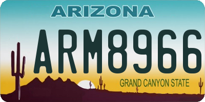 AZ license plate ARM8966