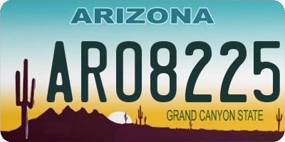 AZ license plate ARO8225