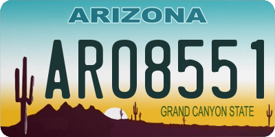 AZ license plate ARO8551