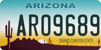 AZ license plate ARO9689