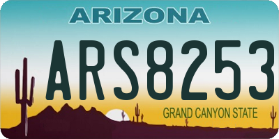 AZ license plate ARS8253