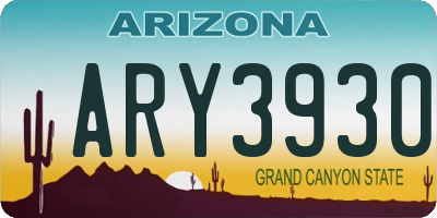 AZ license plate ARY3930