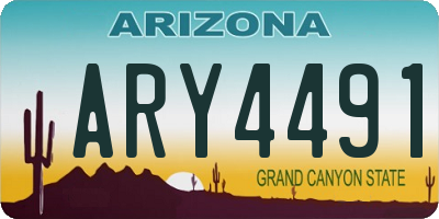 AZ license plate ARY4491