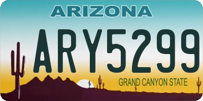 AZ license plate ARY5299