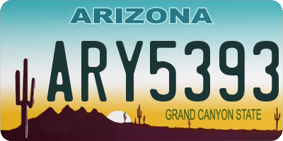 AZ license plate ARY5393