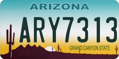 AZ license plate ARY7313