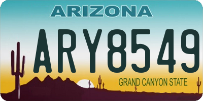 AZ license plate ARY8549