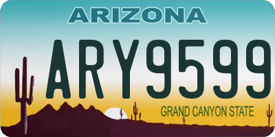 AZ license plate ARY9599