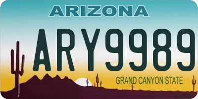 AZ license plate ARY9989