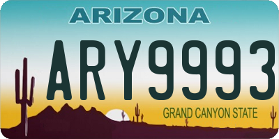 AZ license plate ARY9993