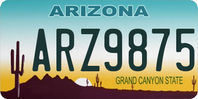 AZ license plate ARZ9875