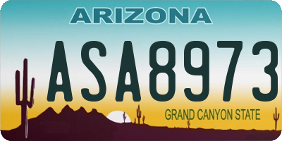 AZ license plate ASA8973