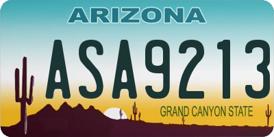 AZ license plate ASA9213