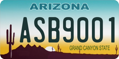 AZ license plate ASB9001