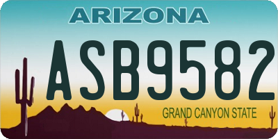 AZ license plate ASB9582