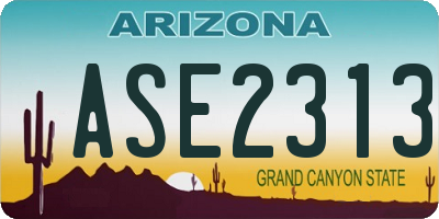 AZ license plate ASE2313