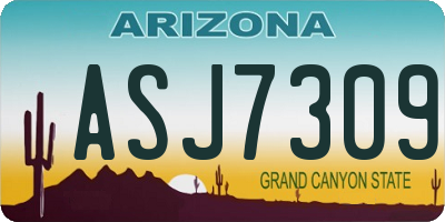 AZ license plate ASJ7309