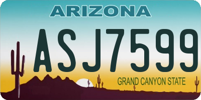 AZ license plate ASJ7599
