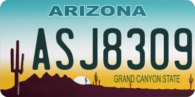 AZ license plate ASJ8309
