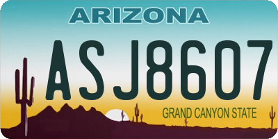 AZ license plate ASJ8607