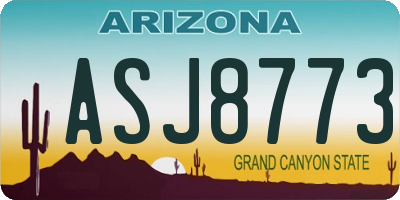 AZ license plate ASJ8773