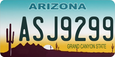 AZ license plate ASJ9299