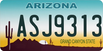 AZ license plate ASJ9313