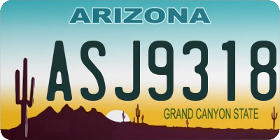 AZ license plate ASJ9318