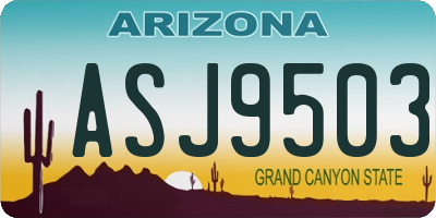 AZ license plate ASJ9503