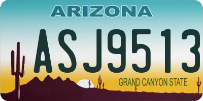 AZ license plate ASJ9513