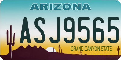 AZ license plate ASJ9565