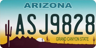 AZ license plate ASJ9828