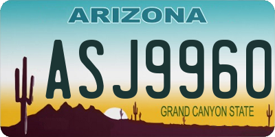 AZ license plate ASJ9960