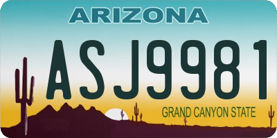 AZ license plate ASJ9981