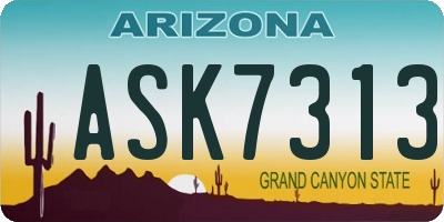 AZ license plate ASK7313