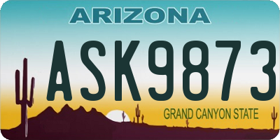 AZ license plate ASK9873