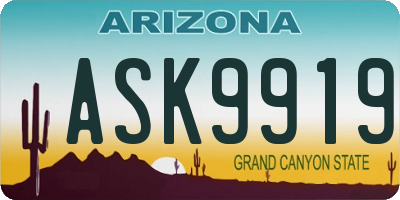 AZ license plate ASK9919