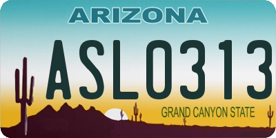 AZ license plate ASL0313