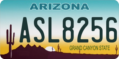 AZ license plate ASL8256