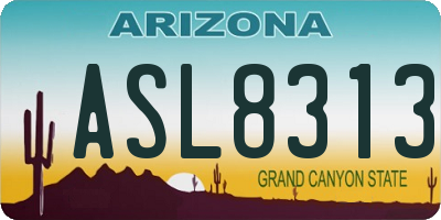 AZ license plate ASL8313