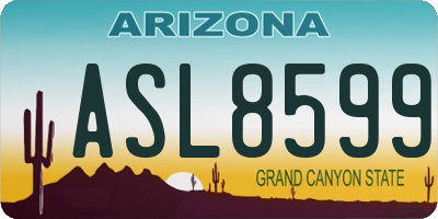 AZ license plate ASL8599