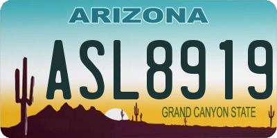AZ license plate ASL8919